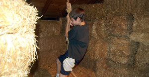 Purina Farms Visitor Center (Gray Summit)