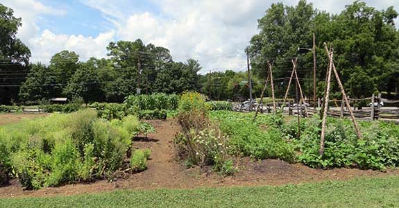 Old Salem Museum and Gardens (Winston-Salem)