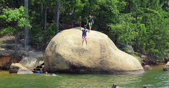 Georgia, North Carolina and South Carolina