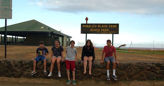 Punaluu Black Sand Beach (Pahala)