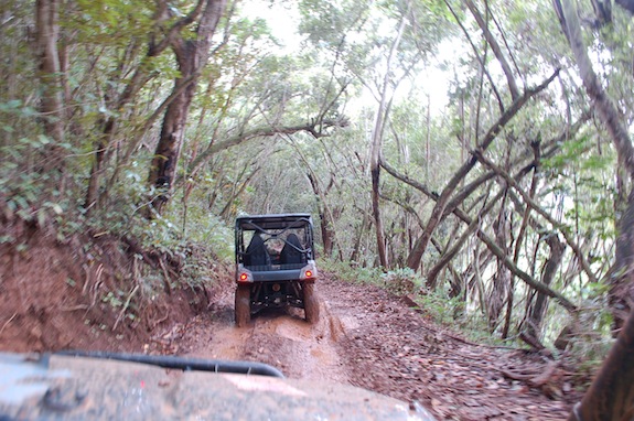 atv driving