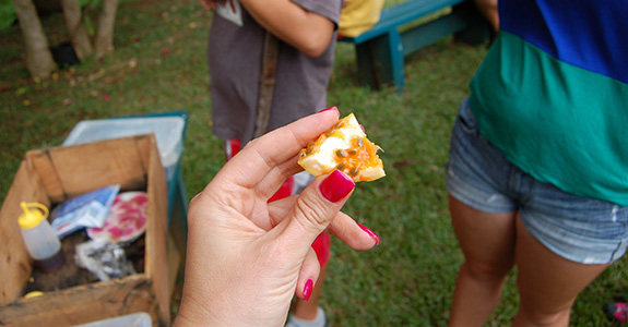 Steelgrass Farms (Kapaa)