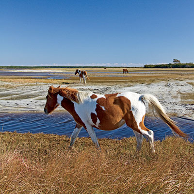 national-wildlife-refuge-l